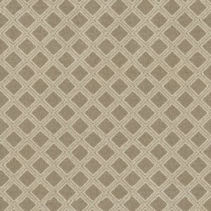 Anderson Tuftex Carpet Scout Sesame 00213_ZZ073