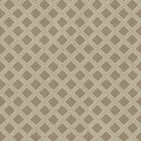 Anderson Tuftex Carpet Scout Sesame 00213_ZZ073