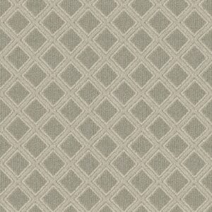 Anderson Tuftex Carpet Scout Soft Fern 00312_ZZ073