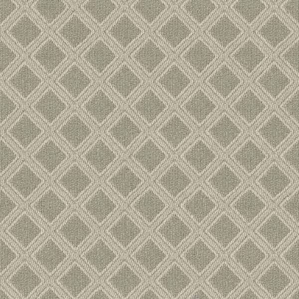 Anderson Tuftex Carpet Scout Soft Fern 00312_ZZ073