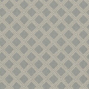 Anderson Tuftex Carpet Scout Surf Spray 00412_ZZ073