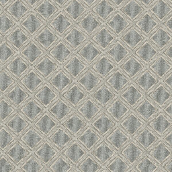 Anderson Tuftex Carpet Scout Surf Spray 00412_ZZ073