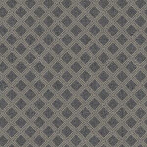 Anderson Tuftex Carpet Scout Downpour 00458_ZZ073
