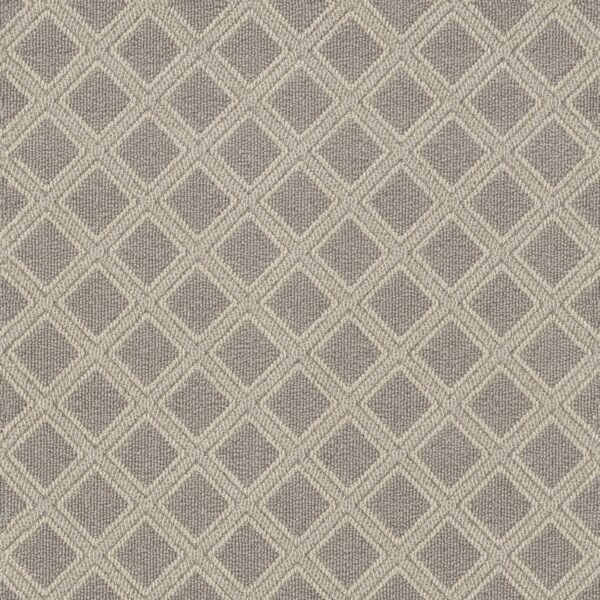 Anderson Tuftex Carpet Scout Oyster Shell 00511_ZZ073
