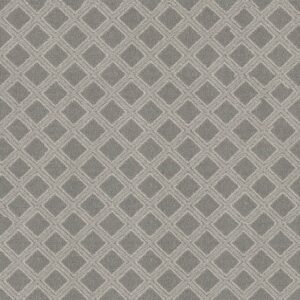 Anderson Tuftex Carpet Scout Oxford 00546_ZZ073