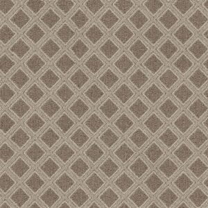Anderson Tuftex Carpet Scout Russet 00614_ZZ073