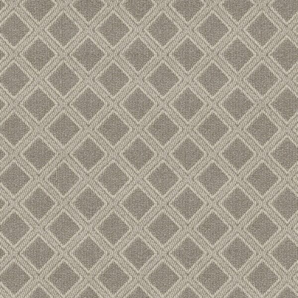 Anderson Tuftex Carpet Scout Briarwood 00712_ZZ073