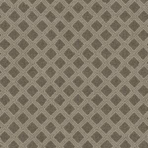 Anderson Tuftex Carpet Scout Desert Palm 00717_ZZ073