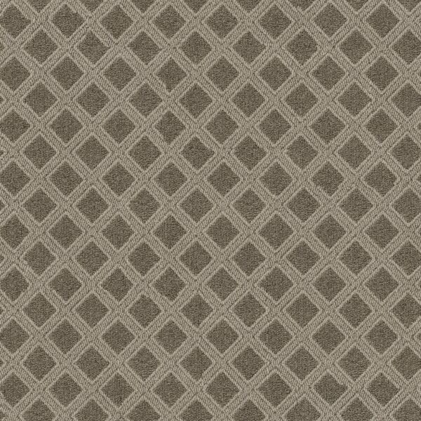 Anderson Tuftex Carpet Scout Desert Palm 00717_ZZ073