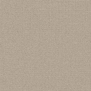 Anderson Tuftex Carpet Fetch Birch 00111_ZZ074