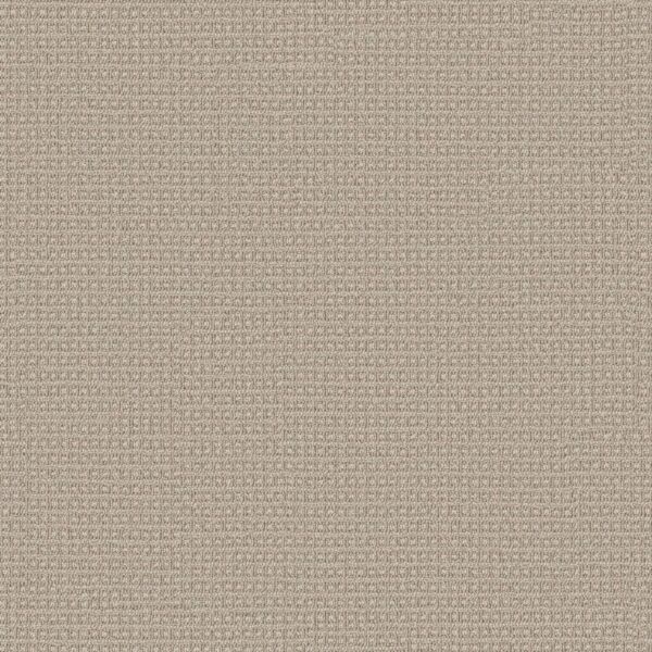 Anderson Tuftex Carpet Fetch Birch 00111_ZZ074