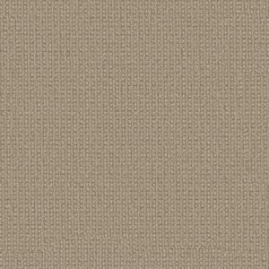 Anderson Tuftex Carpet Fetch Sesame 00213_ZZ074