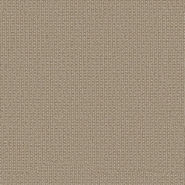 Anderson Tuftex Carpet Fetch Sesame 00213_ZZ074