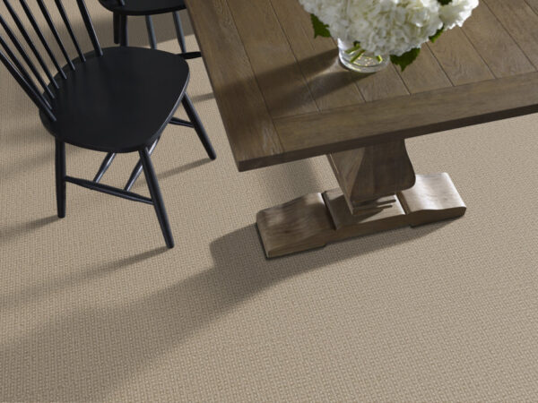 Anderson Tuftex Carpet Fetch Sesame 00213_ZZ074 - Image 2