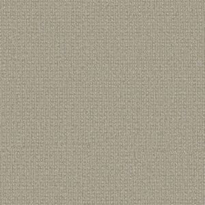 Anderson Tuftex Carpet Fetch Soft Fern 00312_ZZ074