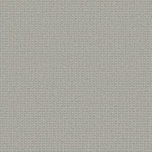 Anderson Tuftex Carpet Fetch Surf Spray 00412_ZZ074