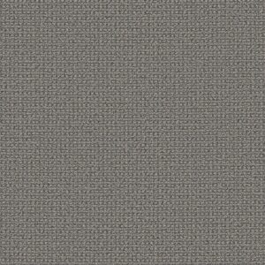 Anderson Tuftex Carpet Fetch Downpour 00458_ZZ074