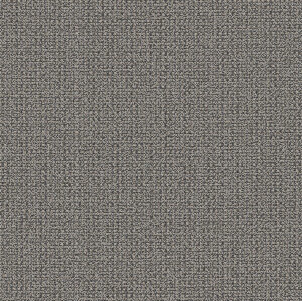Anderson Tuftex Carpet Fetch Downpour 00458_ZZ074