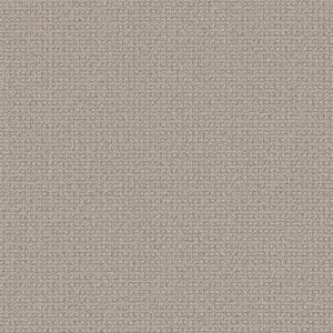 Anderson Tuftex Carpet Fetch Oyster Shell 00511_ZZ074