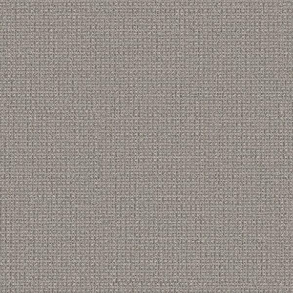 Anderson Tuftex Carpet Fetch Oxford 00546_ZZ074