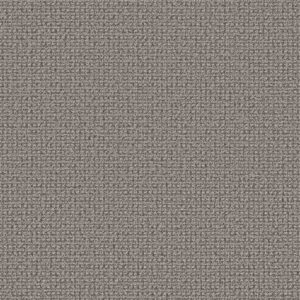 Anderson Tuftex Carpet Fetch Monument 00556_ZZ074