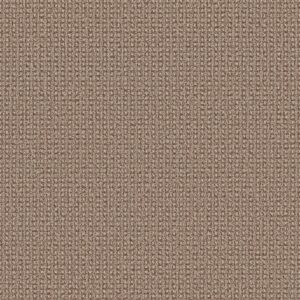 Anderson Tuftex Carpet Fetch Russet 00614_ZZ074