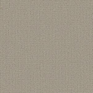 Anderson Tuftex Carpet Fetch Briarwood 00712_ZZ074