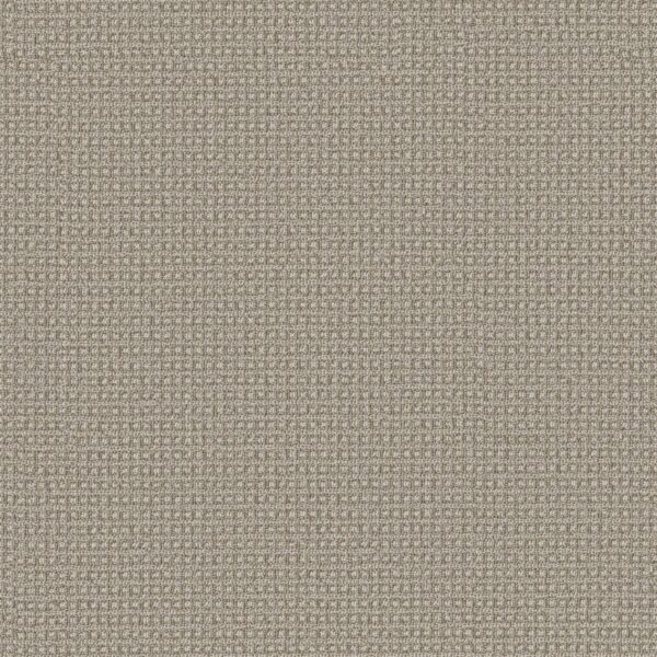 Anderson Tuftex Carpet Fetch Briarwood 00712_ZZ074