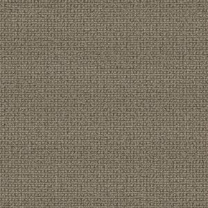 Anderson Tuftex Carpet Fetch Desert Palm 00717_ZZ074