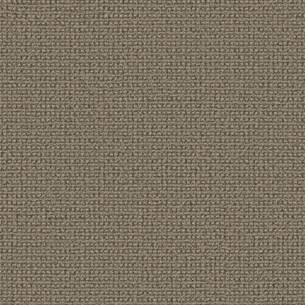 Anderson Tuftex Carpet Fetch Desert Palm 00717_ZZ074