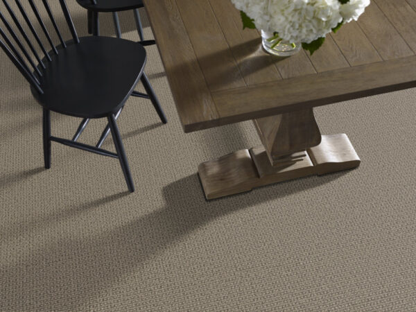 Anderson Tuftex Carpet Fetch Desert Palm 00717_ZZ074 - Image 2