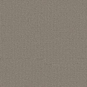 Anderson Tuftex Carpet Fetch Stampede 00753_ZZ074