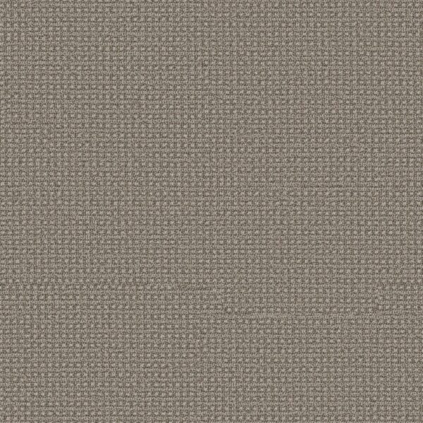 Anderson Tuftex Carpet Fetch Stampede 00753_ZZ074