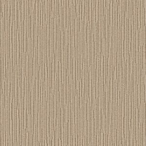 Anderson Tuftex Carpet Chase Sesame 00213_ZZ075