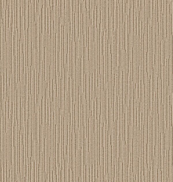 Anderson Tuftex Carpet Chase Sesame 00213_ZZ075