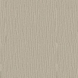 Anderson Tuftex Carpet Chase Soft Fern 00312_ZZ075