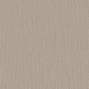 Anderson Tuftex Carpet Chase Oyster Shell 00511_ZZ075