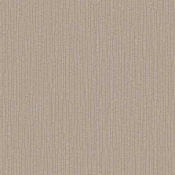 Anderson Tuftex Carpet Chase Oyster Shell 00511_ZZ075