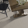 Anderson Tuftex Carpet Chase Oxford 00546_ZZ075 - Image 2