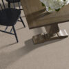 Anderson Tuftex Carpet Chase Russet 00614_ZZ075 - Image 2
