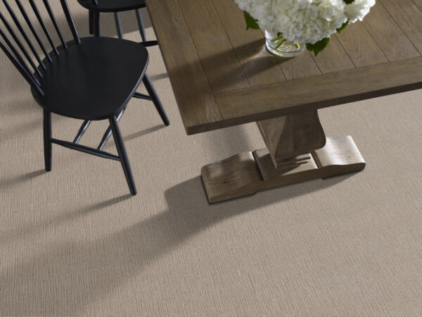 Anderson Tuftex Carpet Chase Russet 00614_ZZ075 - Image 2