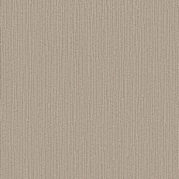 Anderson Tuftex Carpet Chase Briarwood 00712_ZZ075