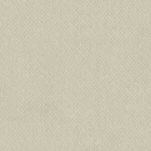 Anderson Tuftex Carpet Mosaic Almond Milk 00101_ZZ076