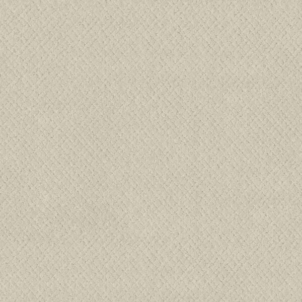 Anderson Tuftex Carpet Mosaic Almond Milk 00101_ZZ076