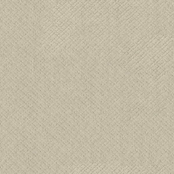 Anderson Tuftex Carpet Mosaic Salt Box 00102_ZZ076