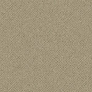 Anderson Tuftex Carpet Mosaic Bungalow 00103_ZZ076