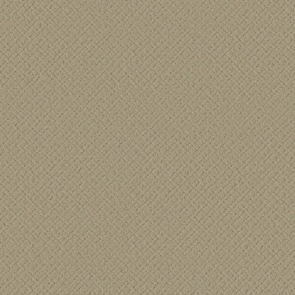 Anderson Tuftex Carpet Mosaic Bungalow 00103_ZZ076