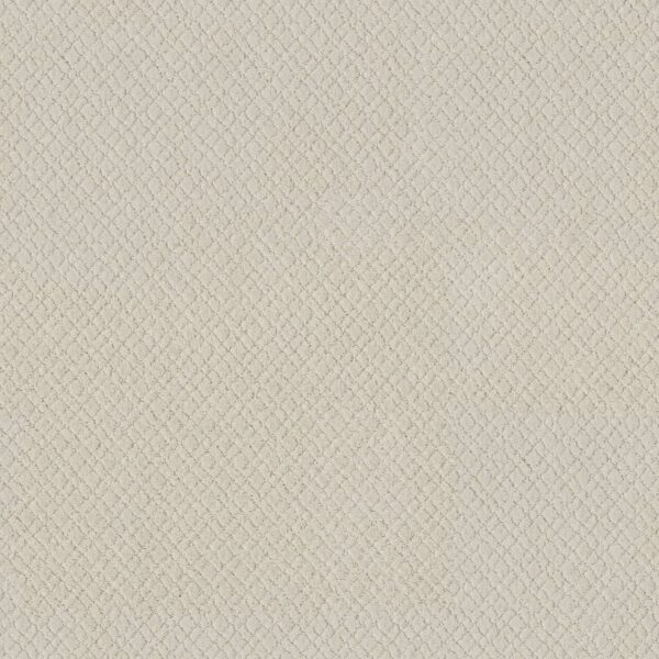 Anderson Tuftex Carpet Mosaic Aria 00111_ZZ076