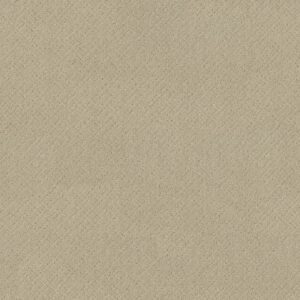 Anderson Tuftex Carpet Mosaic Morning Light 00113_ZZ076