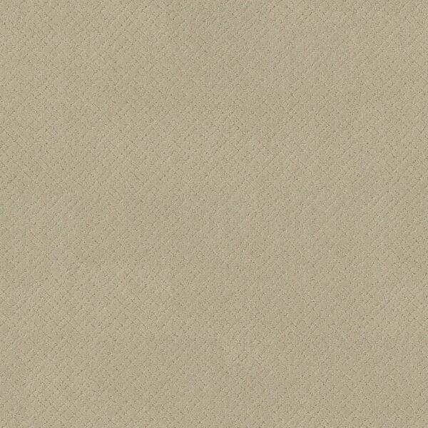 Anderson Tuftex Carpet Mosaic Morning Light 00113_ZZ076